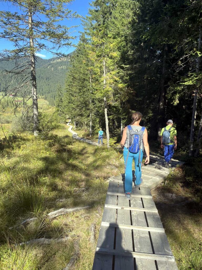 Gesundheit neu erleben