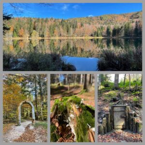 Mehr über den Artikel erfahren Von Adlgaß zum Frillensee