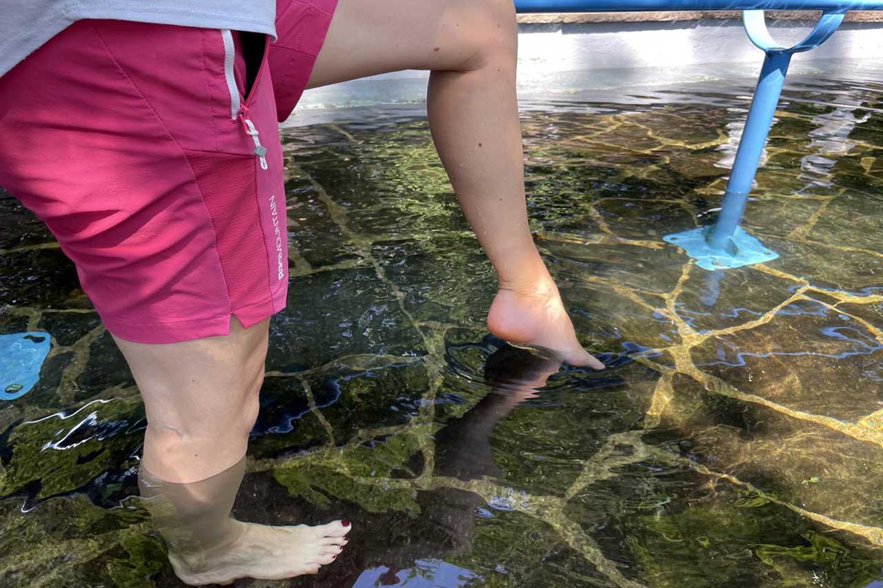 Gesundheit neu erleben