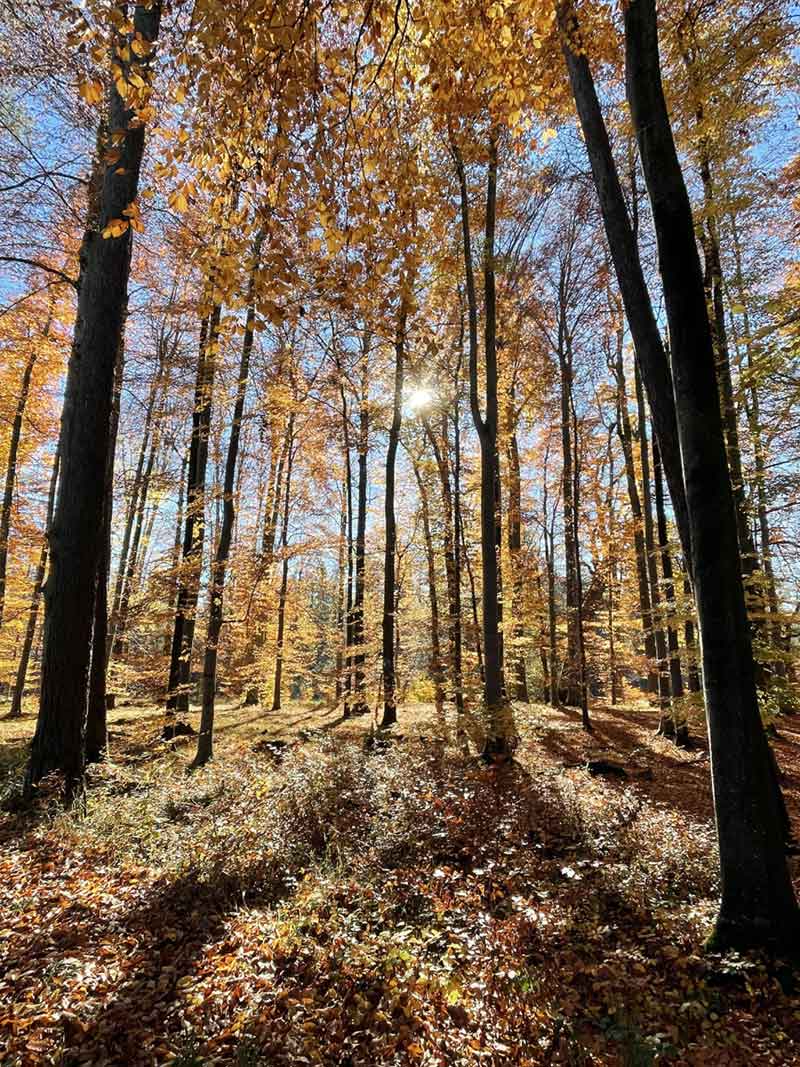 Vitalort Reit im Winkl Chiemgau