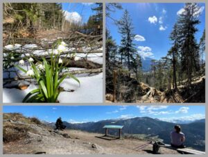 Mehr über den Artikel erfahren Wanderung zum Wetterkreuz
