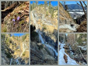 Mehr über den Artikel erfahren Der Frühling naht